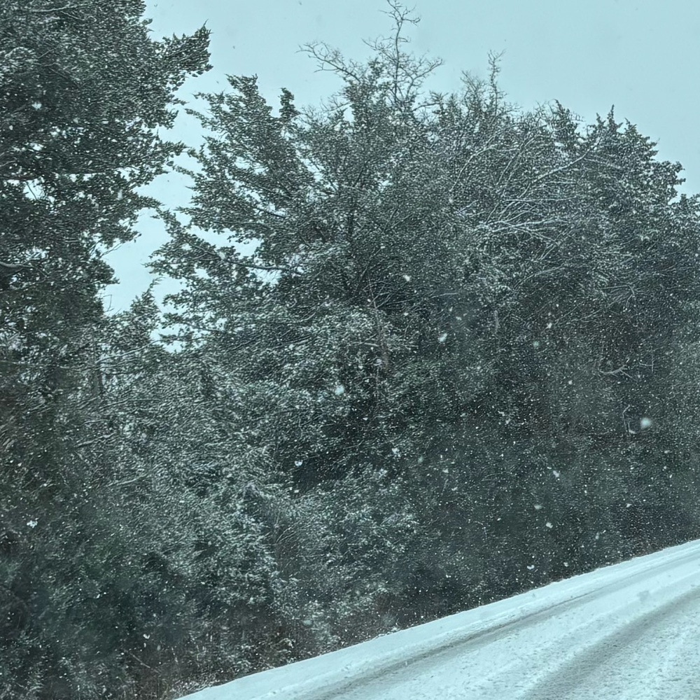 Meet your Posher, Madelynne